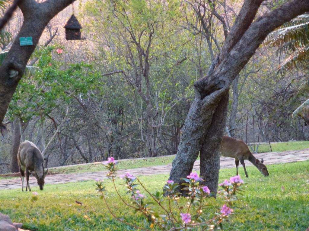 Ehlathini Lodge Mokopane Zewnętrze zdjęcie