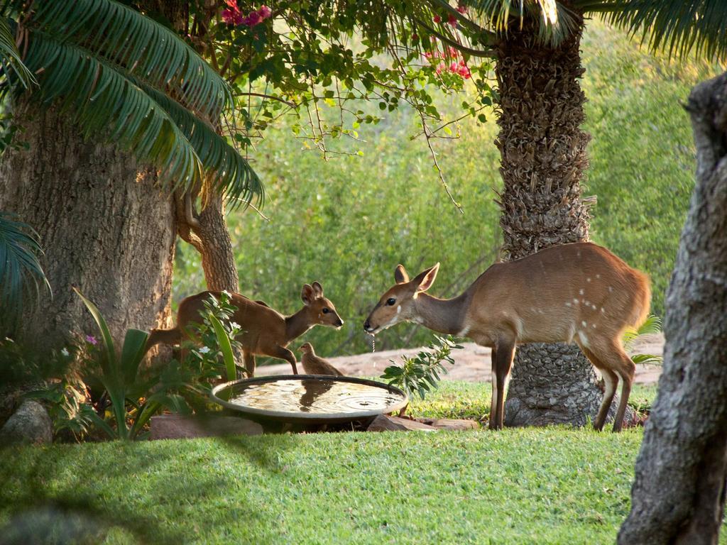 Ehlathini Lodge Mokopane Zewnętrze zdjęcie